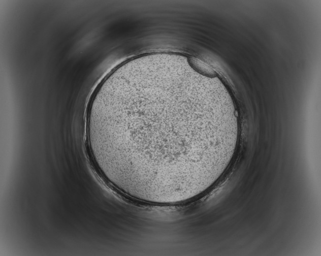 X0000083600844200703021911