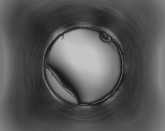 X0000083600845200703021911