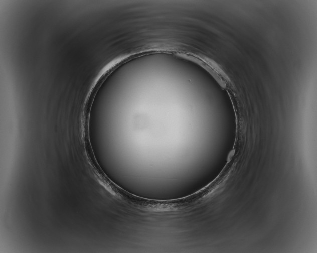 X0000083600846200703021911