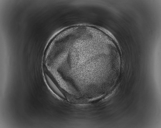 X0000083600847200703021911