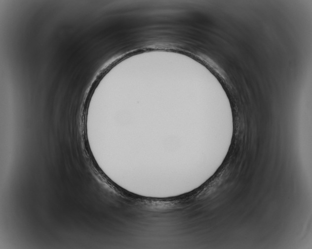 X0000083600848200703021911