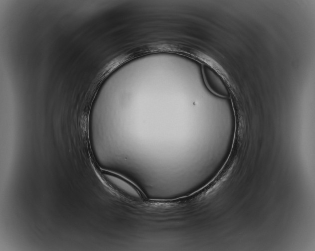 X0000083600849200703021911