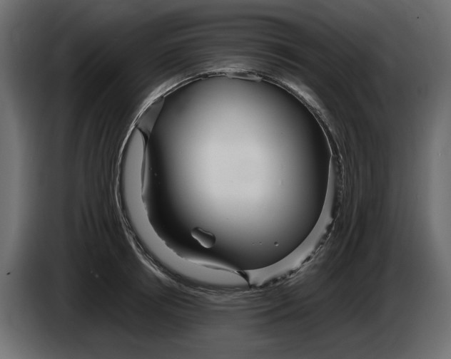 X0000083600850200703021911