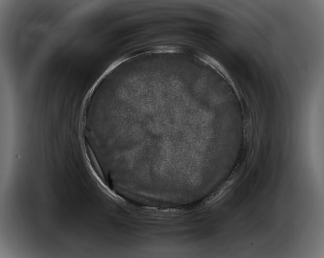 X0000083600851200703021911