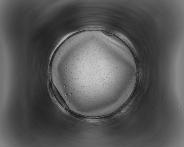 X0000083600852200703021911