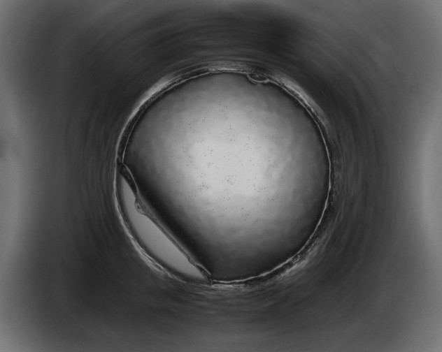 X0000083600853200703021911