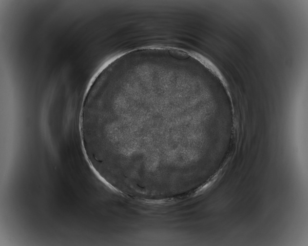 X0000083600855200703021911