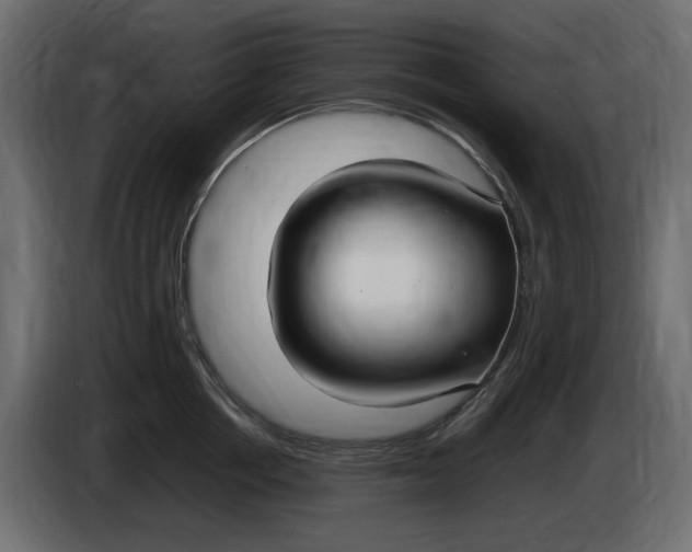 X0000083600858200703021911