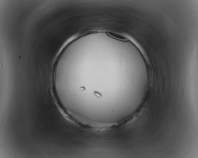 X0000083600861200703021911