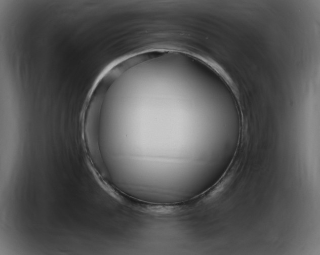 X0000083600862200703021911