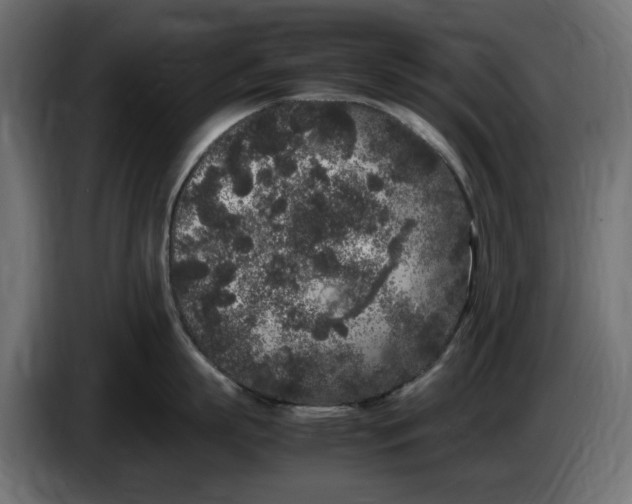 X0000083600863200703021911