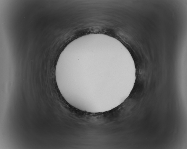 X0000083600865200703021910