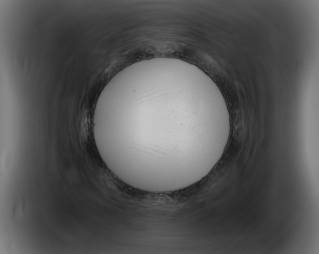 X0000083600866200703021910