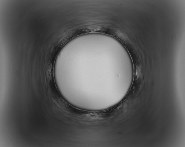 X0000083600867200703021910