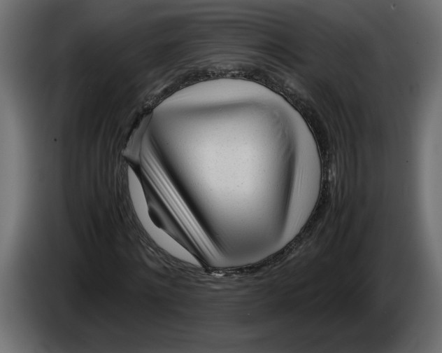 X0000083600868200703021910