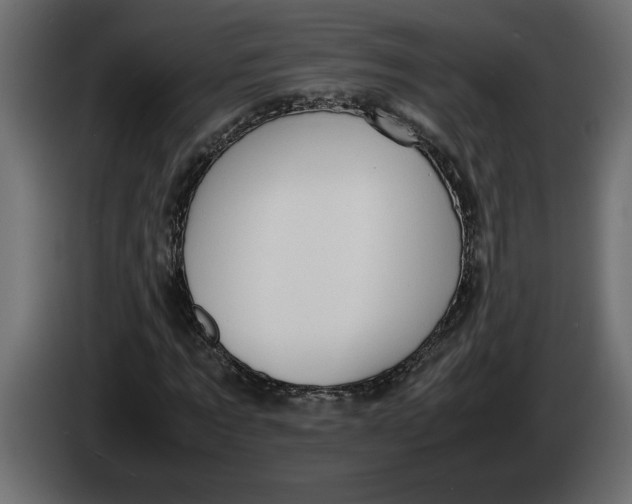 X0000083600869200703021910