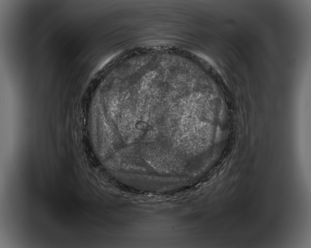 X0000083600871200703021910