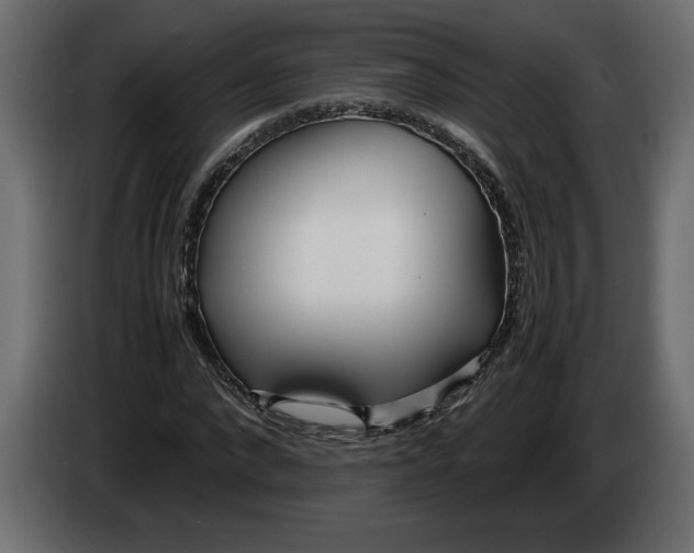 X0000083600872200703021910