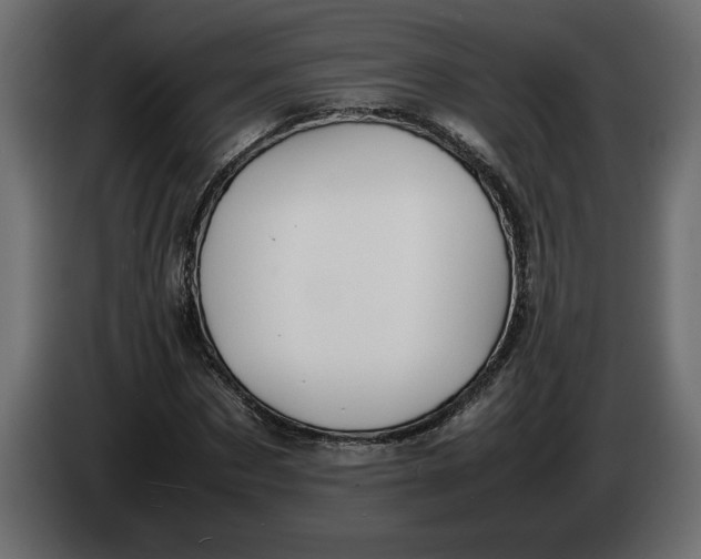 X0000083600873200703021910