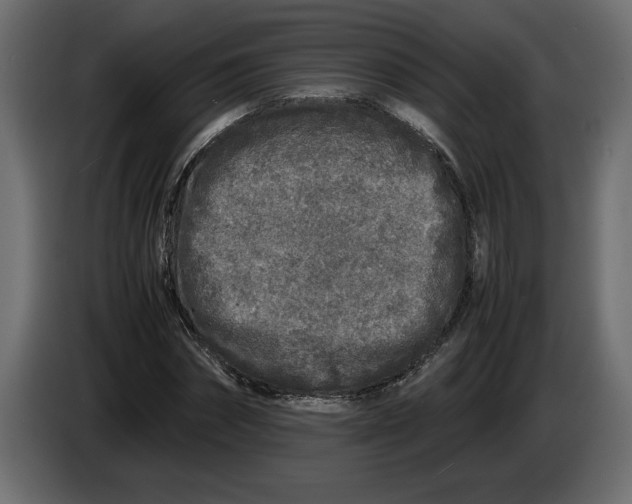 X0000083600874200703021910