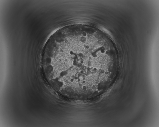 X0000083600875200703021910