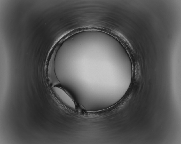 X0000083600876200703021910