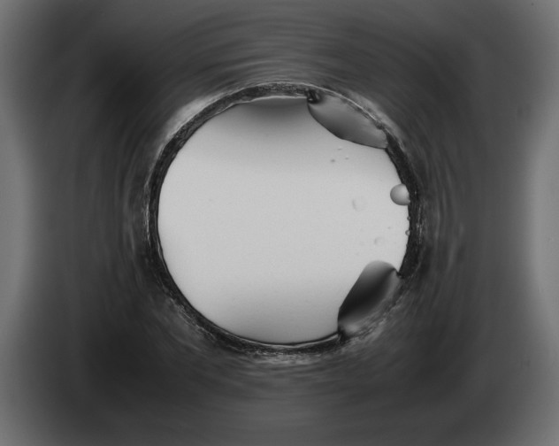 X0000083600877200703021910