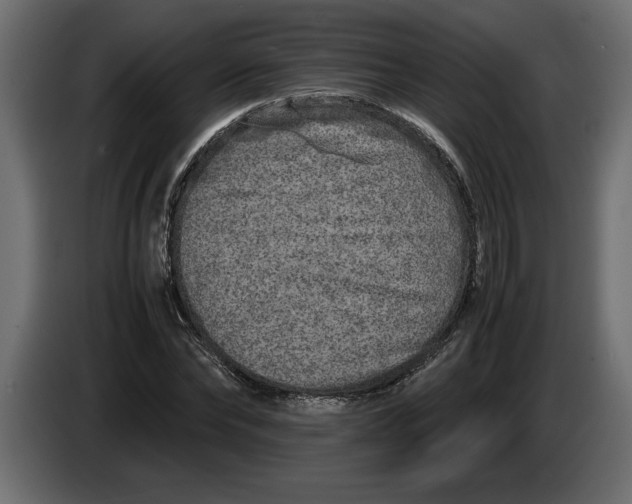 X0000083600878200703021910