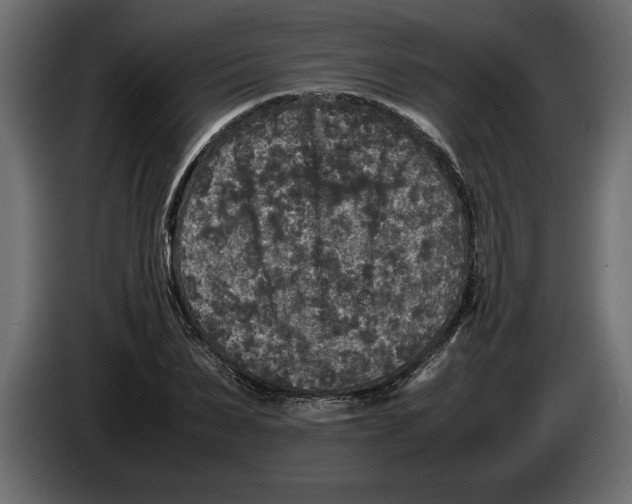 X0000083600879200703021910