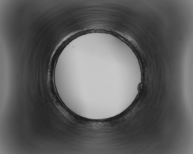 X0000083600880200703021910