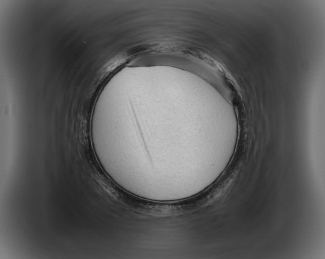 X0000083600881200703021910