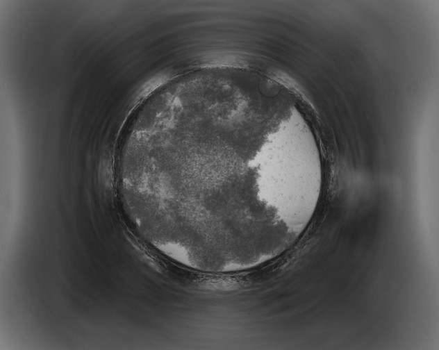 X0000083600882200703021910