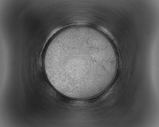 X0000083600883200703021910