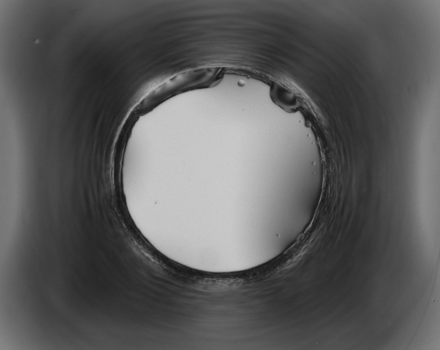 X0000083600884200703021910