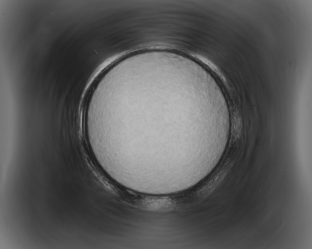 X0000083600886200703021910