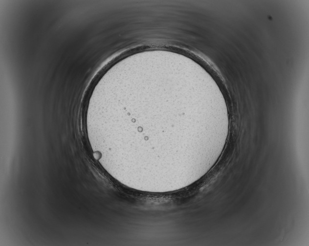 X0000083600887200703021910