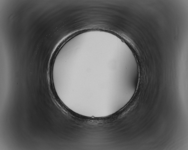 X0000083600888200703021910