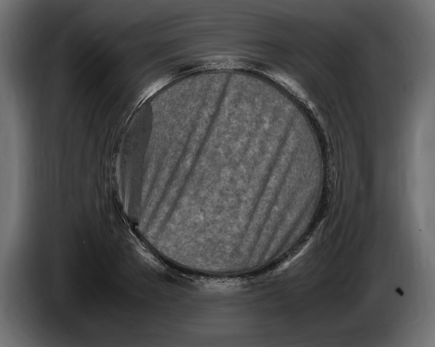 X0000083600889200703021910