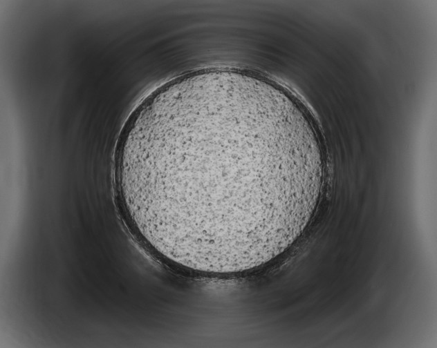 X0000083600890200703021910