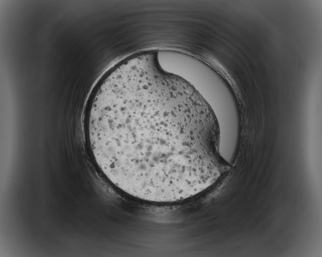 X0000083600892200703021910