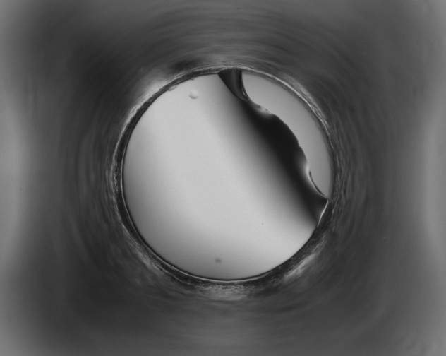 X0000083600893200703021910