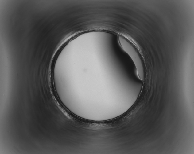 X0000083600894200703021910