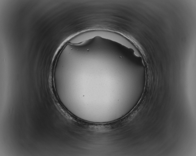 X0000083600896200703021910