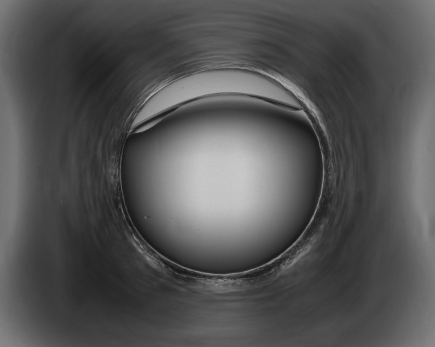 X0000083600897200703021910