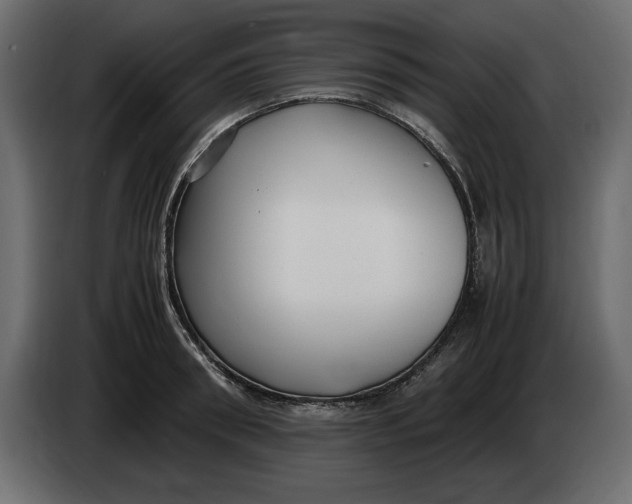 X0000083600898200703021910