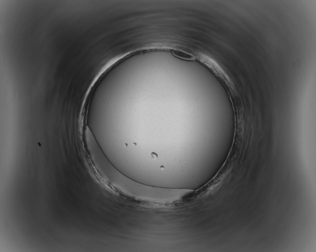 X0000083600900200703021909