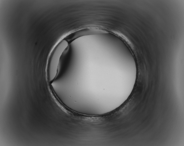 X0000083600902200703021909