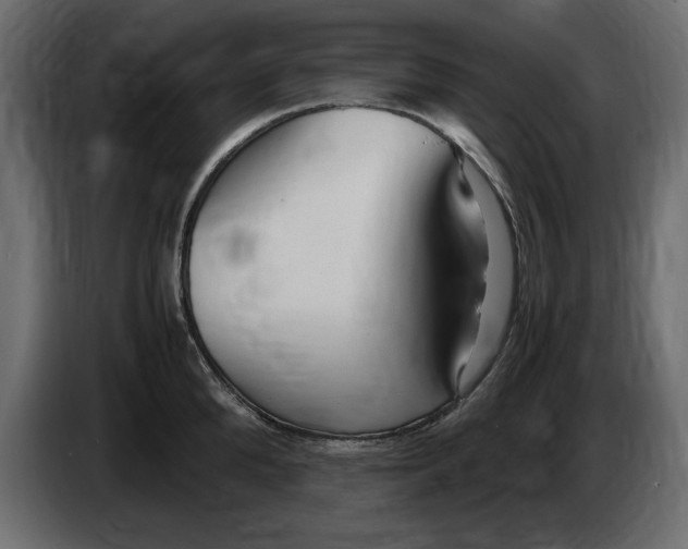 X0000083600904200703021909