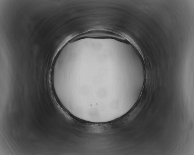 X0000083600906200703021909