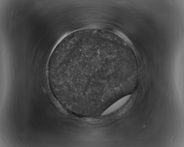 X0000083600907200703021909